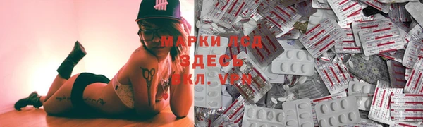 стафф Арсеньев