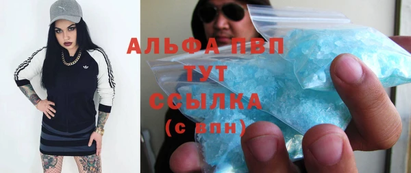 стафф Арсеньев
