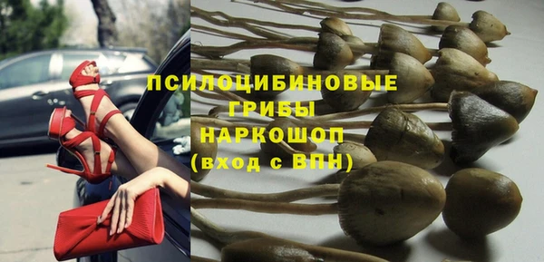 мяу мяу мука Алексеевка