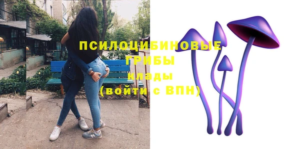 стафф Арсеньев