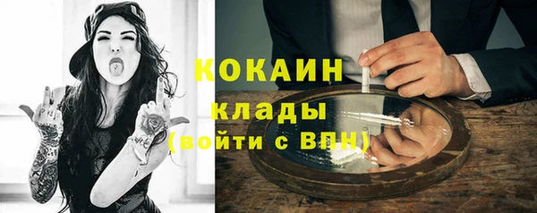 стафф Арсеньев